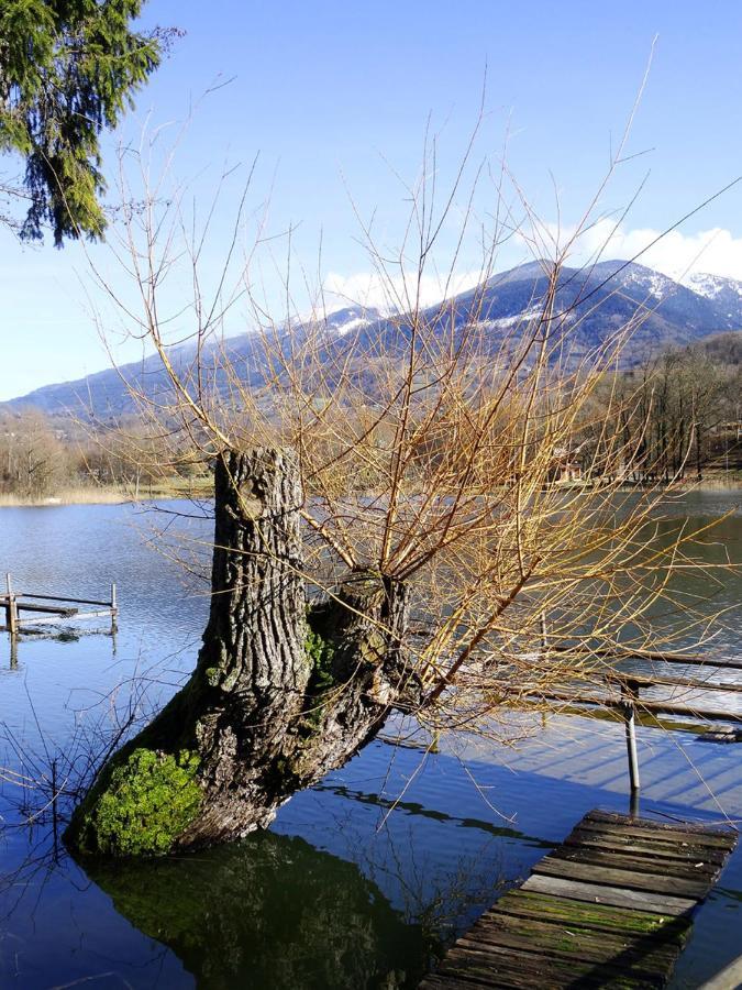 Apartmán Adal-Berht Saint-Maximin  Exteriér fotografie