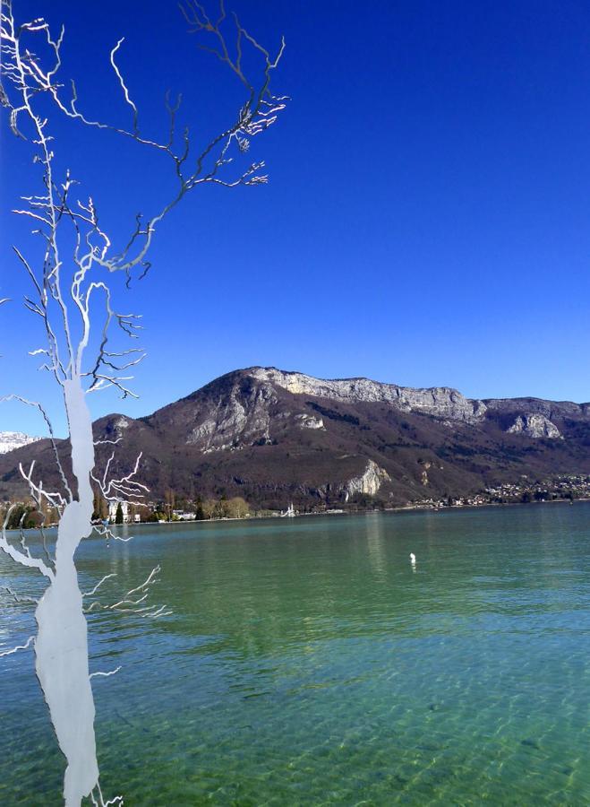 Apartmán Adal-Berht Saint-Maximin  Exteriér fotografie